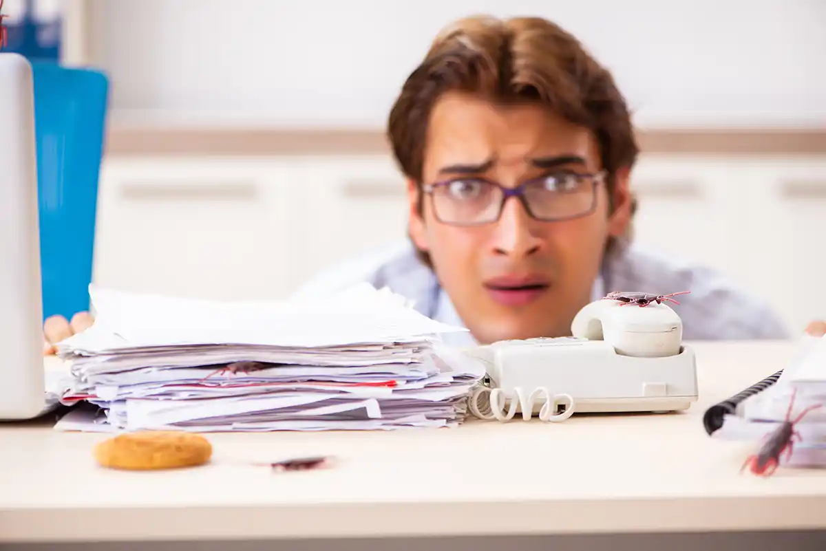 Control de Plagas Fumigaciones Las Condes